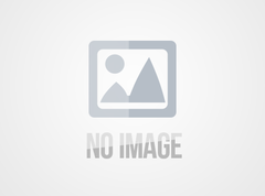 当今中国马克思主义的重要文献